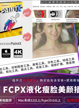 fcpx瘦脸液化PaintX中英文插件FinalCut磨皮祛痘瘦身美颜克隆跟踪