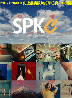 TheBrim®-PrintKit 史上最贵精准胶片打印仿真LUT调色预设完整版