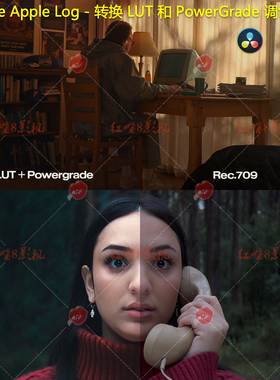 Apple Log/Log2 转换LUT预设+达芬奇电影胶片调色节点 PowerGrade