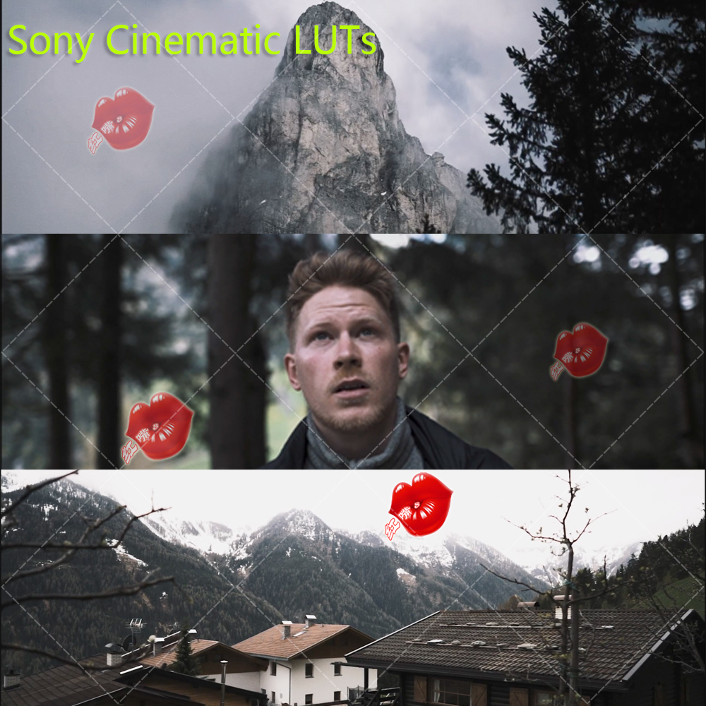 Cinem8 -Sony Cinematic LUTs索尼电影质感高品质调色3D LUT预设