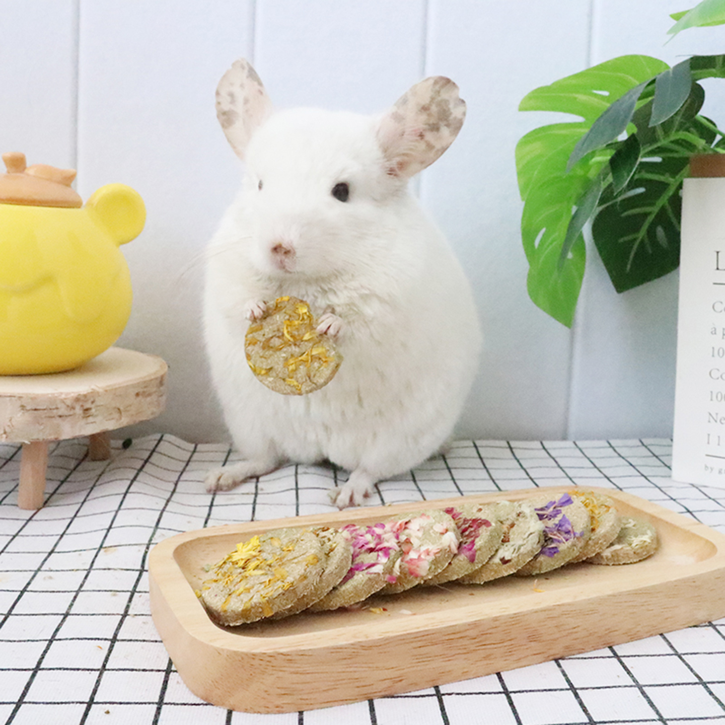 店主手工制作鲜花提摩西草饼龙猫