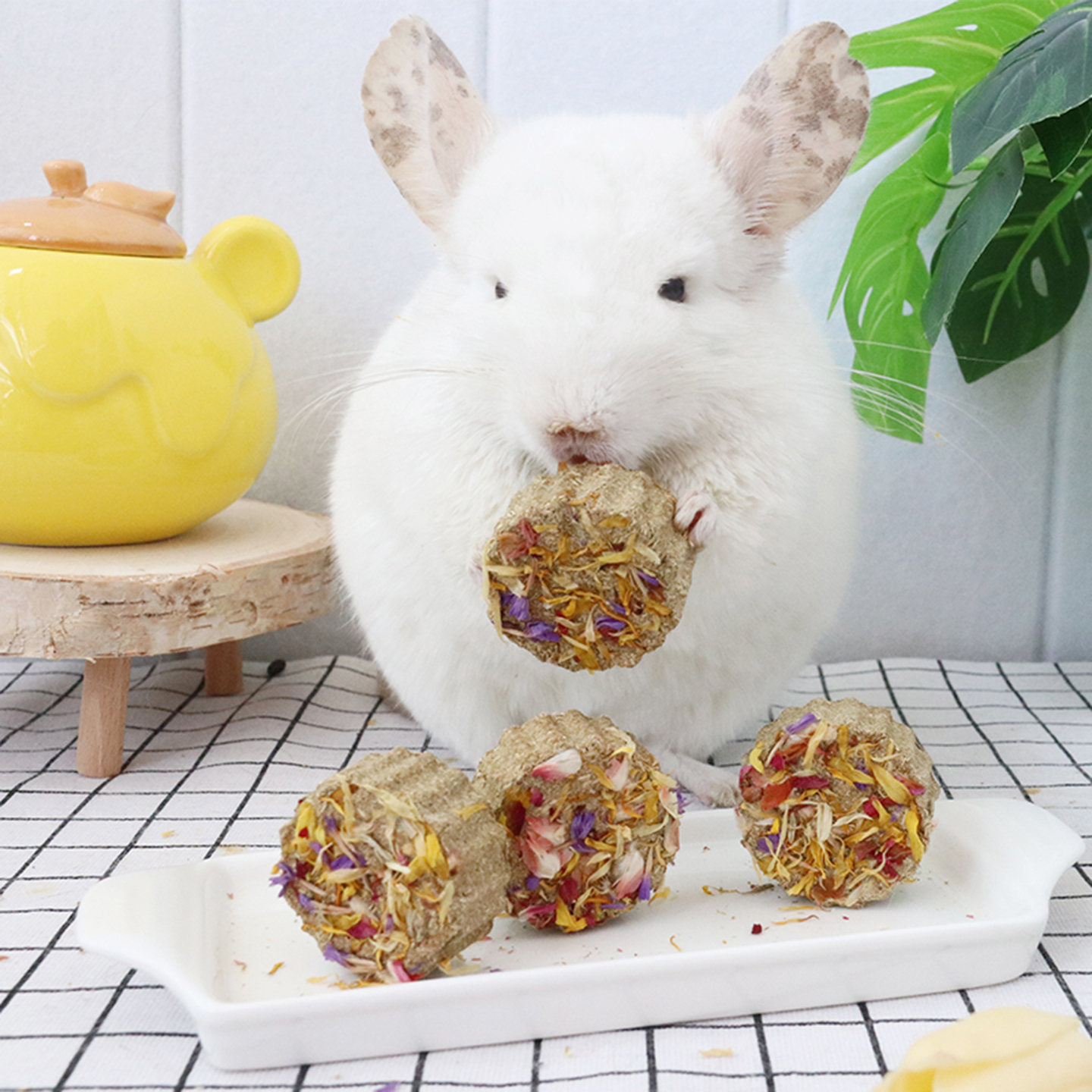 店主手工制作鲜花混合提摩西龙猫