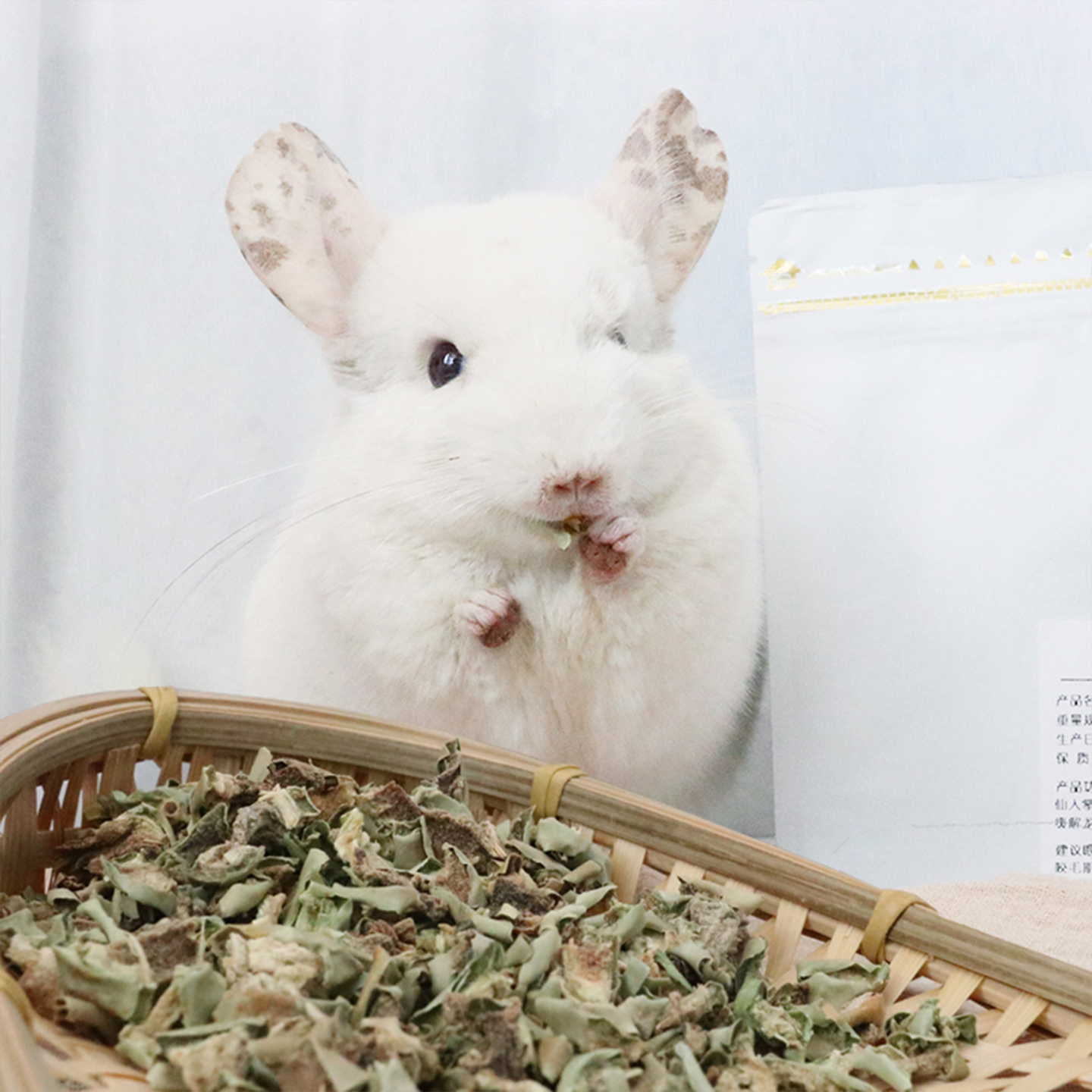 补充多种微量元素咬毛健康龙猫