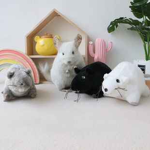 龙猫发泄伴侣玩具老鼠单身发情玩偶防治咬毛弟弟妹妹通用耐啃咬