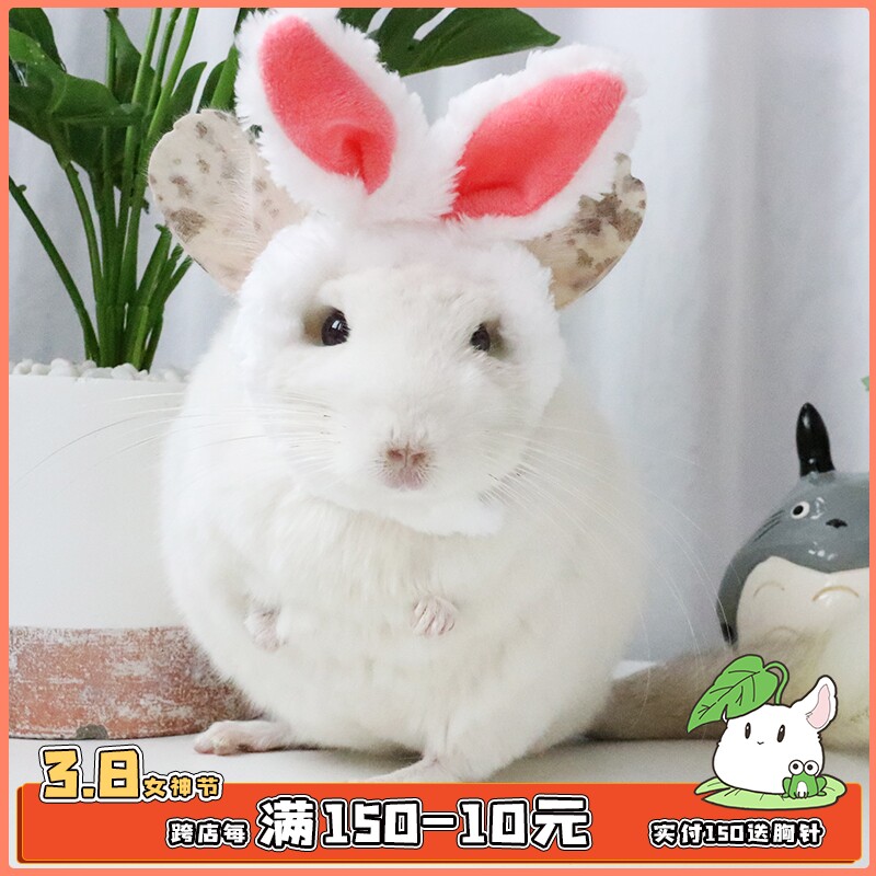 宠物龙猫豚鼠可爱卖萌变身变装小兔子帽子头饰头套兔耳朵拍照道具
