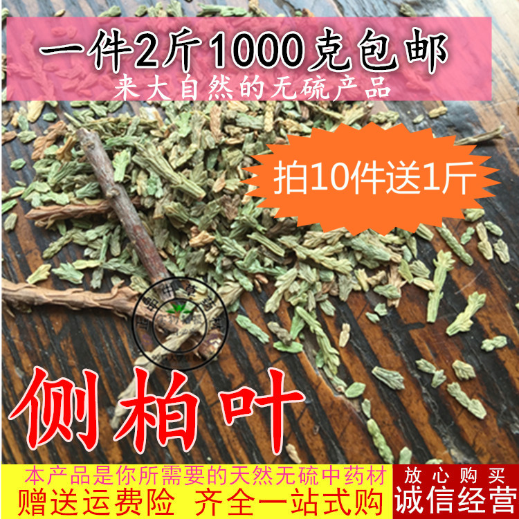 侧柏叶1000克中药材纯柏树叶新鲜野生天然干货生发另售苦丁茶桑叶