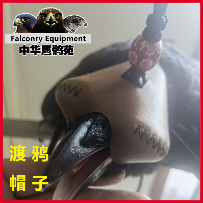 渡鸦帽子白颈乌鸦鸟用品放飞绳遛鸟绳训鸟链红嘴山鸦牛皮脚套脚环