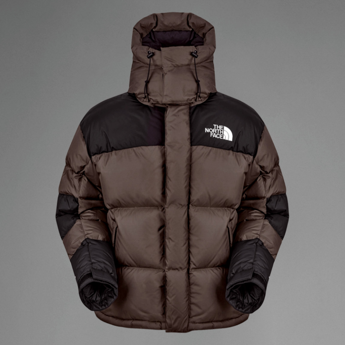 TheNorthFace男羽绒服保暖鹅绒