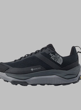 TheNorthFace北面男士徒步鞋户外GTX防水耐磨抓地鲨齿登山鞋|8D9X
