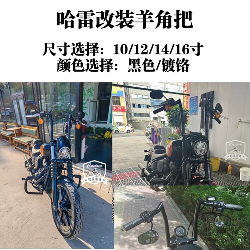 哈雷街霸x48路威硬汉1200改装