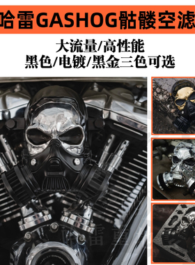 哈雷软尾街霸路威st公路滑翔运动者121cvo改装GASHOO骷髅空滤进气