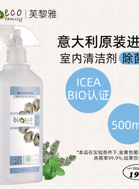 意大利进口室内清洁剂除菌喷雾家用瓷砖玻璃卫浴除垢木地板不锈钢