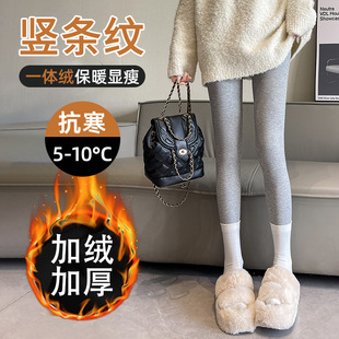 袜螺纹针织紧身秋裤 打底裤 加绒加厚保暖棉裤 秋冬季 女外穿2025新款