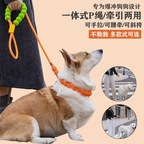 狗狗p链牵引绳防爆冲多款不勒勃