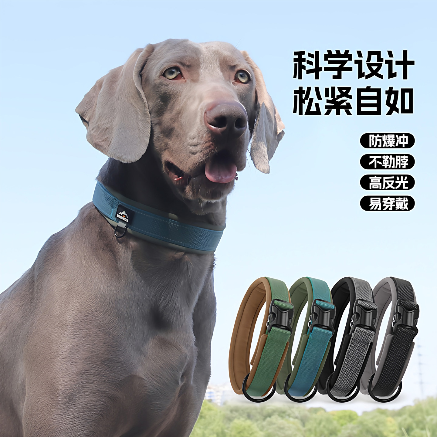 高品质狗狗项圈透气舒适不勒脖子