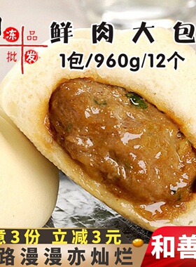 和善园鲜肉大包家庭装包子营养早餐肉包半成品商用面食猪肉包早点