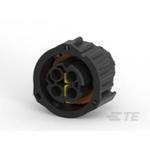 1-1813099-1 1-1813099-2 1-1813099-3