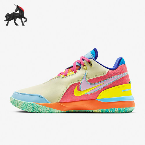 Nike/耐克正品男士篮球鞋