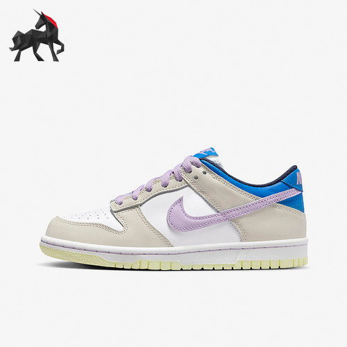 Nike/耐克正品大童休闲板鞋