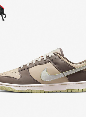 Nike/耐克正品Dunk男子运动休闲轻便低帮板鞋FB4960-210