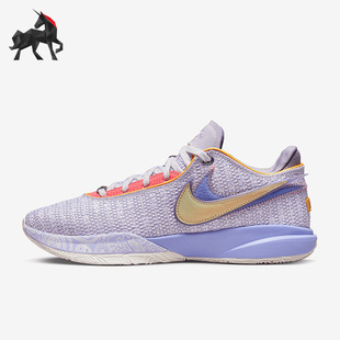 Nike/耐克正品LeBron 20 Violet Frost男士篮球鞋DJ5423-500