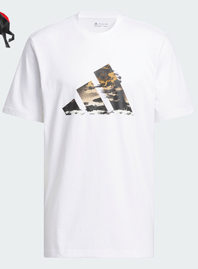 Adidas/阿迪达斯正品BS HBR TEE 篮球男士运动休闲短袖T恤IN6358
