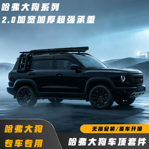 适用于哈弗大狗车顶平台改装套件改装行李架侧爬梯铝合金天幕帐篷