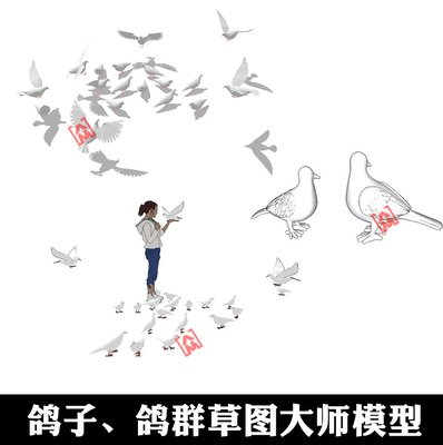 SU鸽子模型sketchup和平鸽白鸽信鸽广场鸽群景观设计鸽子鸟动物