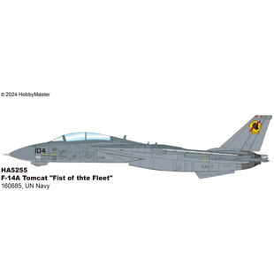 14A Fist Fleet 8月 F14战斗机 HA5255 the 160685美国海军