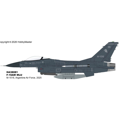 F16战斗机阿根廷空军2025年