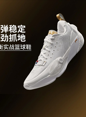李宁韦德全城13男子2025年新款轻量高回弹篮球专业比赛鞋ABAV017