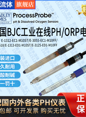 E-1312-EC1-M10ST美国BJC玻璃PH电极CA92618在线式ORP探头E-1313