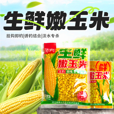 大粒嫩玉米钓鱼饵料钓青鱼草鱼翘嘴专用生鲜玉米窝料大物专攻诱鱼