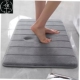 dry bathroom toilet quick door mat MATS carpets