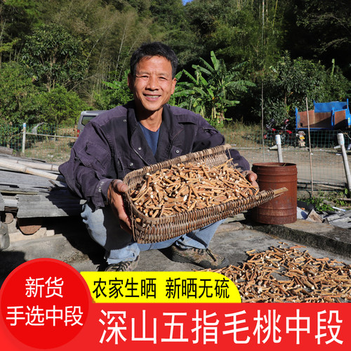 深山农家晒五指毛桃根中段五爪龙