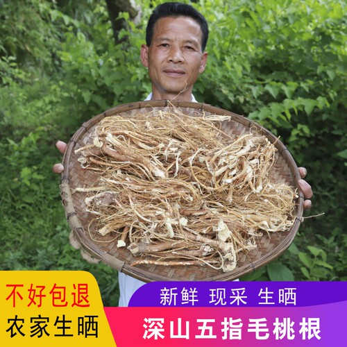 农家五指毛桃干五指毛桃根五爪龙