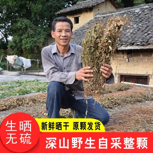 农家整株鱼腥草干深山新晒折耳根