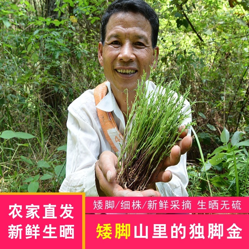 农家自晒独脚金干货山区疳积草