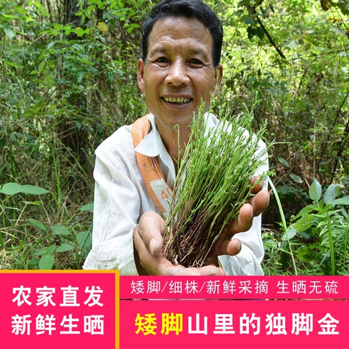 深山独脚金50g农家自晒无硫干货疳积草独角金山区采晒新鲜独脚金 - 封面