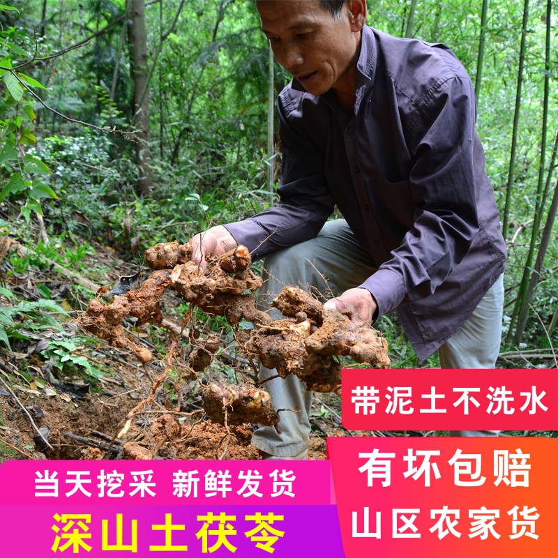 新鲜土茯苓2斤包邮粤北硬饭头整个农村深山土茯苓现挖现发土伏苓