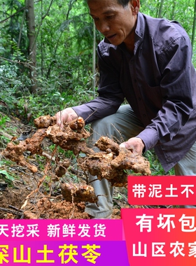 新鲜土茯苓2斤包邮粤北硬饭头整个农村深山土茯苓现挖现发土伏苓