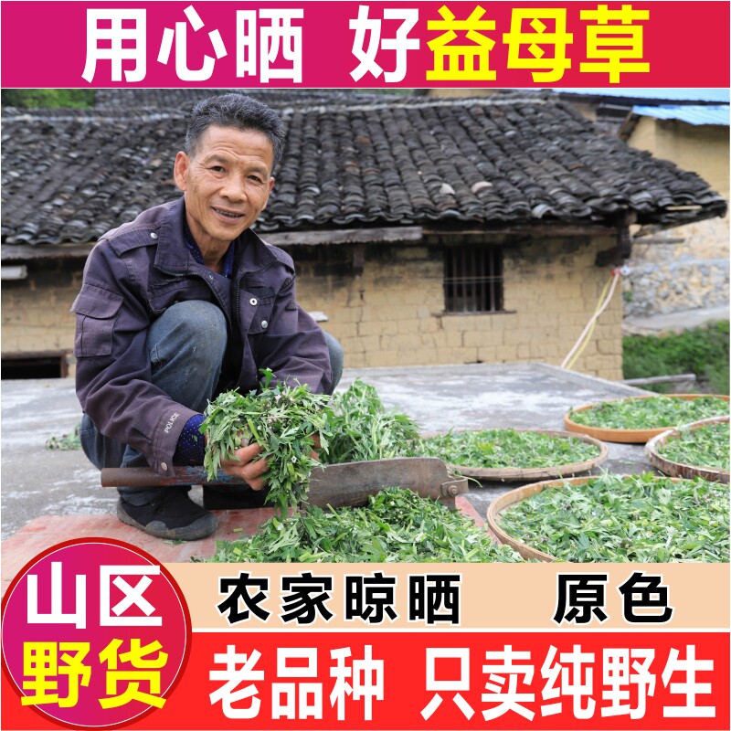 野生益母草干500g农家晒红花益母草可泡茶喝泡脚无硫正品益母草茶