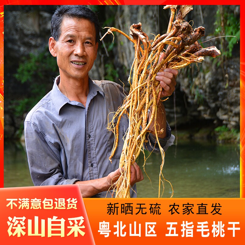 广东深山五指毛桃根干500g五爪龙农家晒新晒另售土茯苓牛大力煲汤