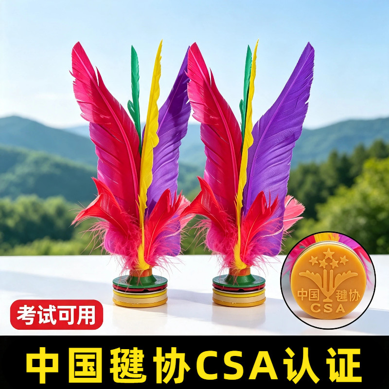 新健毽子儿童小学生运动专用成人毽子鹅毛毽球比赛鸡毛键花腱耐踢