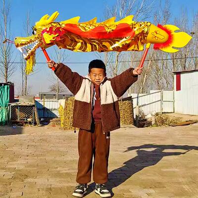 单人手举龙舞龙道具学校儿童舞台表演舞蹈节目龙健身龙群舞龙