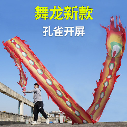 广场健身龙带凤凰彩条初学成人