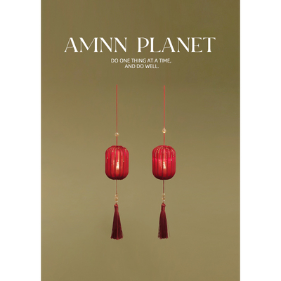 AMNN 新年发光小灯笼2025蛇年中国风红色喜庆客厅树上装饰小挂件