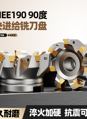 MEE190快进给双面铣刀盘90度方肩飞刀盘通装金鹭山高XNEX080608