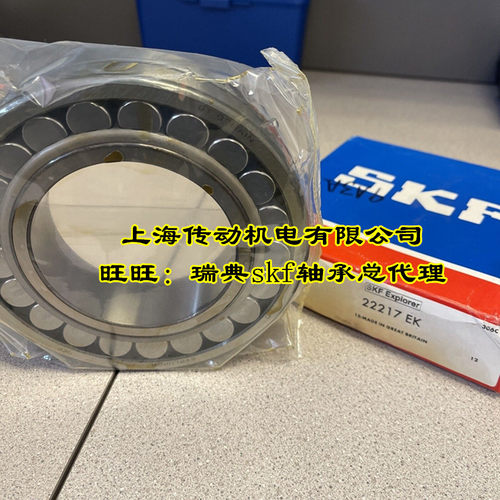 瑞典SKF进口轴承 22213 22214 22215 22216 22217 22218 E EK/C3 - 封面