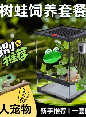 树蛙活体宠物饲养套餐